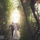 세븐스튜디오 이미지