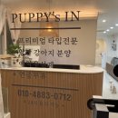 퍼피스 | 말티푸전문펫샵 퍼피스인