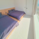 펜톤나인 이미지