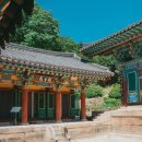 돌집야영장 이미지