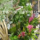 예당화원 네이버블로그
