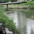 바람이 불어, 초록색 모자 이미지