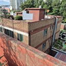 중앙동224 이미지