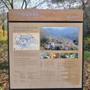 국립유명산자연휴양림 | 가평 국립유명산자연휴양림 1박 2일 후기 | 단풍과 숲, 고요한 오두막에서의 힐링 시간 🍁