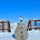여수순천우림산우회 제318차(1월25일) 지리산 바래봉( 눈꽃산행) 이미지