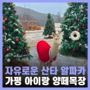 은하수목장 | 가평 북면 가볼만한곳 아이랑 놀거리 양떼목장