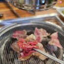 공원소갈비살 | 26년 6월) 양주 맛집, 옥정 회식 '공원소갈비살' 방문 후기