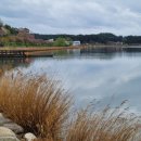 진보양푼이물회 이미지