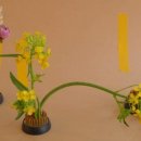 플로르 스토어 이미지