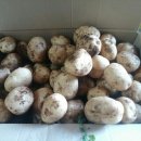 충렬농장 이미지