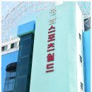 영남스포츠 월드 이미지