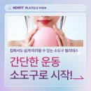 집에서 따라할 수 있는 소도구 필라테스 | [뉴핏 필라테스 &amp; 요가]📢 집에서도 쉽게 따라할 수 있는 소도구 필라테스💪🏻/ 인계동 필라테스
