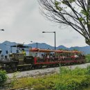 기차마을 장미공원 이미지