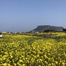 주차장 화장실 이미지