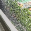 113 | 강동구 명일동 래미안솔베뉴 113동 발수미세촘촘망 교체 시공 후기