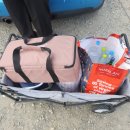 두바이애견풀빌라2 | 경주 가성비 애견펜션 JS애견풀빌라 방문 후기[내돈내산]