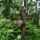 화산장어 이미지