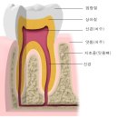 공감백치과 이미지