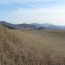 초발심목장 이미지