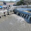 농어촌공사앞 이미지