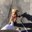 씨유 성수세종점 | 1월 3,4주 일상 이제 일주일 단위로 올래요