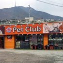 애완용품 할인마트 이미지