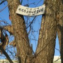 송현약품 이미지