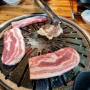 양지 이미지