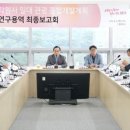 비비드플랜