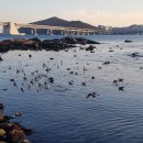 꽁다리김밥 이미지