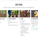 MOM’S GARDEN 이미지