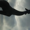 동물원주유소 이미지