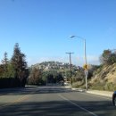 피피푸푸 이미지