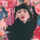 청하 - 서초구 신반포로 200 | 청하