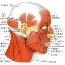 소포마을도로 | 四字成語 총정리 <ㄱ> 841 구각거근~구간운동