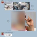 관광열차노래연습장 네이버블로그