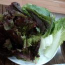 행복한삼겹살 이미지