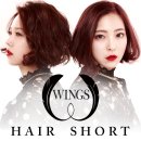 윙스(wings)