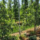 삼축농장 이미지