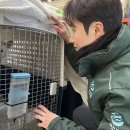 한국인농장 이미지