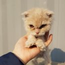 태조산길 이미지