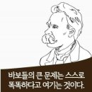 김포-서울 편입, 총선 전 주민투표 결국 무산 (한두광 목련 또 개박살?!) 이미지