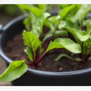 한신코아약국 이미지