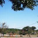 가시리농촌체험휴양마을 이미지