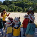 해나어린이집 이미지