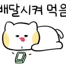 해피빵스데이
