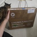 일호자동차 | 진주 3일만에 타이어 3번 교체 후기(feat. 일호광장진주역 주차장 조심⚠️)