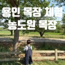 다락원목장 | [용인] 농도원목장 아이와 낙농체험 | 예약 꿀팁, 준비물, 당일 후기