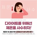 체온UP다이어트 이미지