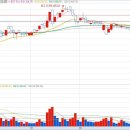 와이엔소프트 이미지